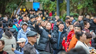 “马”上添彩！开启新岁好光景