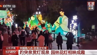 央视聚焦济南春节夜游美景，“鲤好”“把子肉汉堡”火出圈！