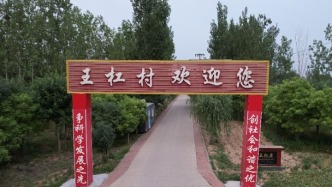 航拍美麗鄉(xiāng)村，陵城區(qū)-于集鄉(xiāng)（王杠村）全村的美麗風(fēng)景區(qū)歡迎您