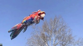 顶流鳌鱼上新街起飞、章丘“化龙”，网友：“这分明是祥瑞”