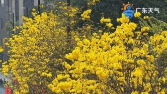 开工大吉！广东的雨水也要“开工”