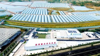 “湾区认证”，落地溧水！