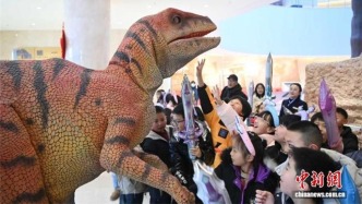 临夏：打造全龄友好文化客厅　民众乐享新春