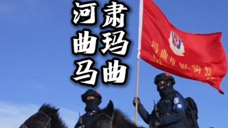 谁不想拥有一匹草原精灵——河曲马呢