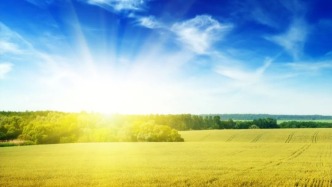 工錢到賬　安心過年