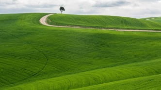 韩国股市“牛冠”全球，韩国KOSPI指数34天暴涨1000点，总市值连超德法