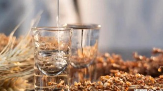 白酒消费洞察：进入存量博弈时代