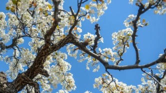 新岁启序：济南予你一整年美好