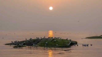 尋找最美春天|來日照赴一場(chǎng)春天的約會(huì)，聽海鷗與浪花的私語