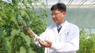 李傳友 | 從實(shí)驗(yàn)室到餐桌 書寫種業(yè)革命“中國答卷”