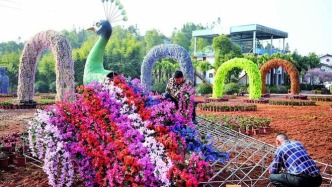 盘龙大观园：以花海之名赴“绿心”之约