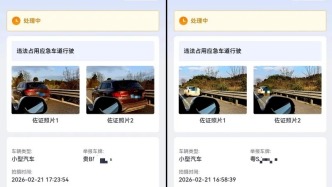 女子拍照举报20多辆车占高速应急车道引热议，多“急”能停？