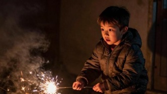 临近开学又闯祸！4名中学生违规放烟花“烤”黑大桥