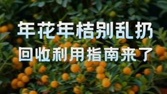 春節(jié)后年花年桔如何處理？別亂扔，這份指南請(qǐng)查收！ 