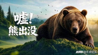 噓！熊出沒｜屏住呼吸，闖入山林王者的隱秘江湖