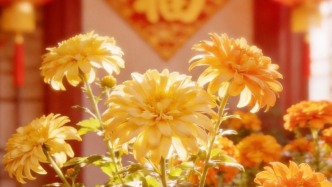 早安广州｜送穷踏青，春入襟怀