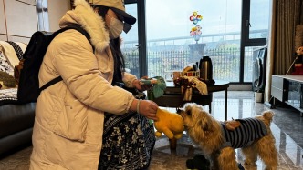 春節(jié)假期南昌寵物寄養(yǎng)“一位難求”，上門喂養(yǎng)訂單暴增