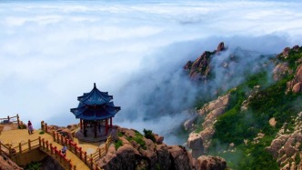 这十大主题线路，带你解锁青岛的春日浪漫~