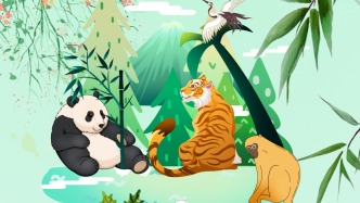 世界野生动植物日 