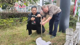 西秀区城管局-节后整治  秩序有序