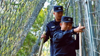 十二载深山守望：刘洋与他的37公里“平安路”