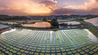 进贤黄鳝科技小院获批省级科技小院