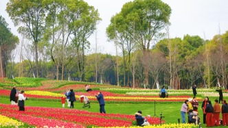 美成画！南昌凤凰沟花海绽放