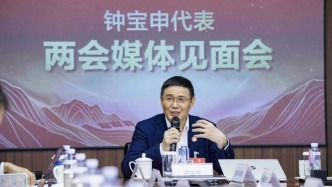 全国人大代表钟宝申：聚焦分布式光伏与绿色氢氨醇 推动能源绿色低碳转型