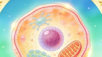 如果健康管理有段位，那“王者段位”可能是细胞级管理