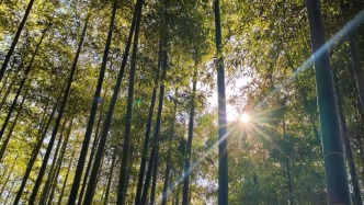 今日惊蛰，你的食谱该更新啦