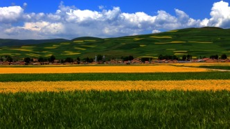 黄河干流出境断面水质连续10年稳定保持Ⅱ类