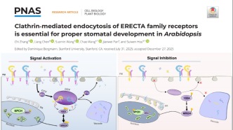 兰州大学植物细胞发育与信号转导重要科研进展在PNAS等期刊发表