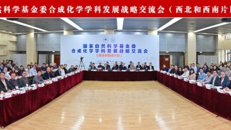 国家自然科学基金委合成化学学科发展战略交流会在兰州大学召开