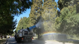 花粉“散粉”預(yù)計(jì)本周末開(kāi)始，3月中旬高峰！北京已啟動(dòng)防治，防敏技巧——