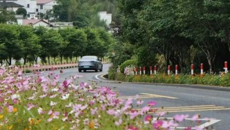 最新消息！南昌拟认定第二批8条林荫大道