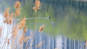 嶧州印象 | 雨潤(rùn)惠蟄，春與人宜
