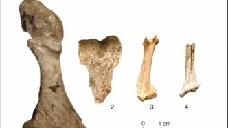 內(nèi)蒙古高原發(fā)現(xiàn)距今1萬年前的新石器時代遺址