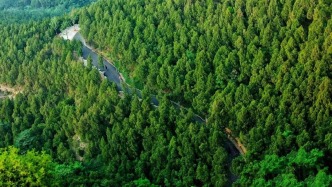 惊蛰有声！在山东这些城市绿道，「听」见苏醒的春天