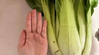 老輩子種菜“沒輕沒重”的......一片葉子可以炒盤菜