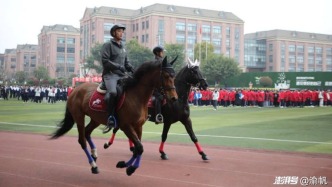 别开生面的开学礼：千里马进校园，与学生亲密互动，仪式感绝了