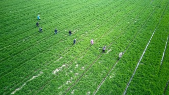 這掌聲，傳遞“毫不放松抓好糧食生產(chǎn)”的堅(jiān)定決心