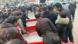 桠溪“小青虾”游出致富增收路