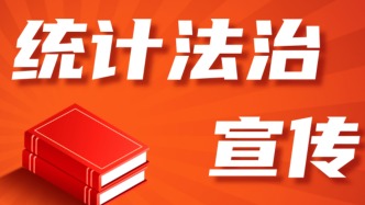 2025年统计法治宣传集锦大放送