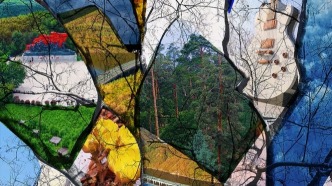 吉吉为宝宝们种了一颗五彩斑斓的树