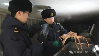 琿春帝王蟹“鮮”行全國(guó)背后的故事
