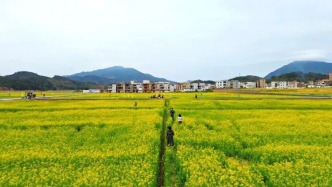 真的靓！你不去肇庆这些乡村，后悔啊