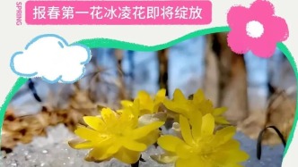 驚艷！冰封的山野里，東北最早的春天已經(jīng)悄悄上線
