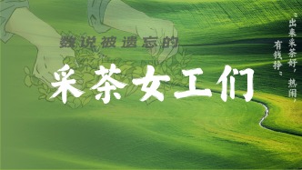 “出来采茶好，热闹，有钱挣”——数说被遗忘的采茶女工们