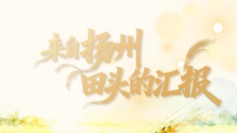 两会画中话 | 来自扬州田头的汇报