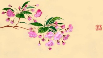 妇女节 | 老树：活成自己模样，便是世间晴朗